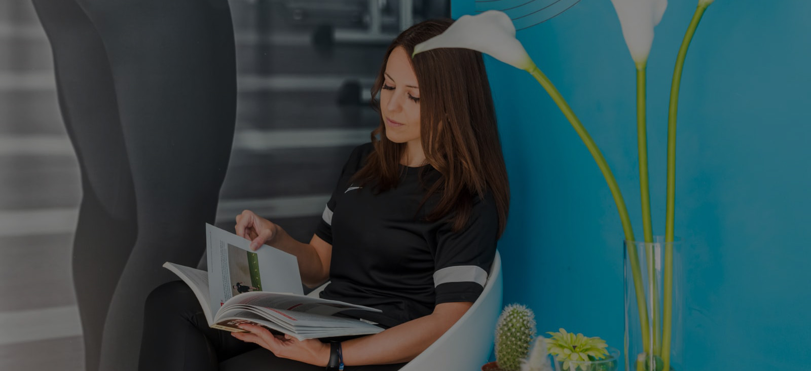 Plan trimestral con 3 seguimientos